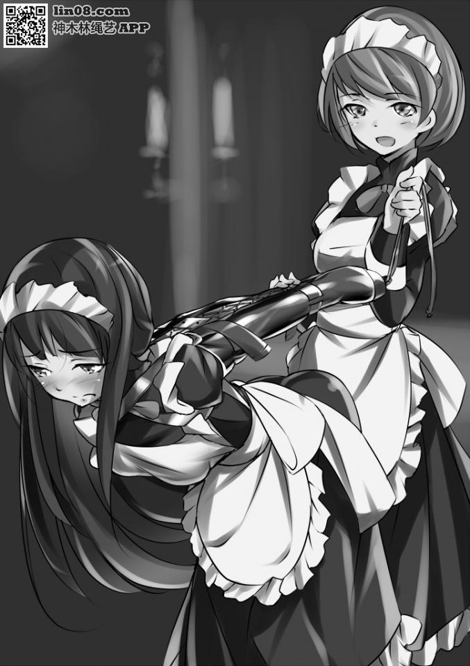 动漫 [Boxtie,Maid,Gag,Handcuff,Japanese Anime,Strappado Bondage,one-leg suspension,Elbows tied,Chinese Female]