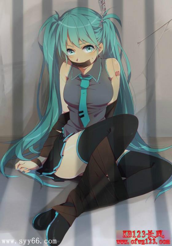 杂图 [日本动漫,初音未来,胶带]