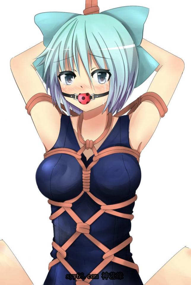 sm动漫 - 动漫 [swimsuit,Tortoise shell tie,Suspension ,Gag,Japanese Anime,Strappado Bondage]