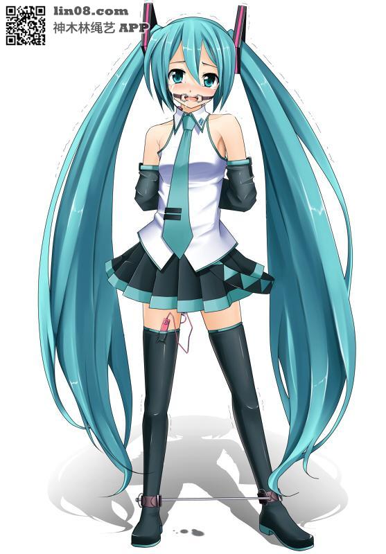  [Boxtie,Gag,Japanese Female,High positions,Japanese Anime,Hatsune Miku,Pocket Vibrator]