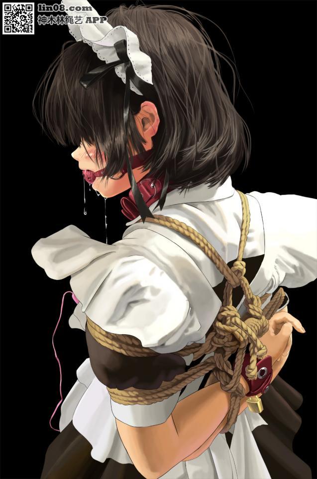 动漫 [Boxtie,Maid,Gag,Breast bondage,High positions,Japanese Anime,Dog chain]