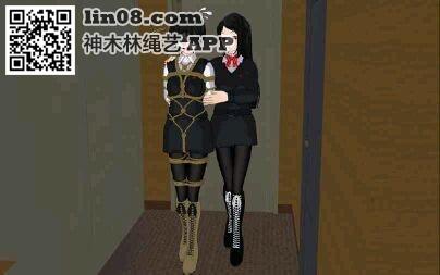 动漫少女 - 捆绑动漫 [日式反绑,堵嘴,胸缚,3D画,股绳]