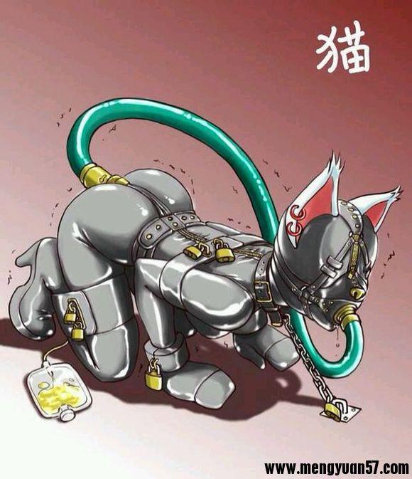 胶衣kb - 好看 [猫耳,堵嘴,高跟鞋,情趣（乳胶衣）,狗链/项圈,情趣（拘束衣）,国产动漫,锁链]