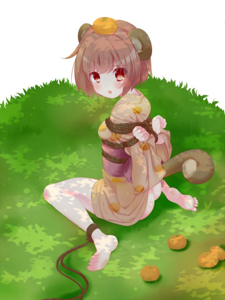 收藏的动漫 - 收藏的动漫 [民族（和服）,猫耳,高手缚,日本动漫]