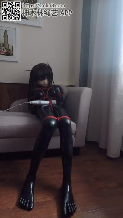 Forester dinamik diagrammasi