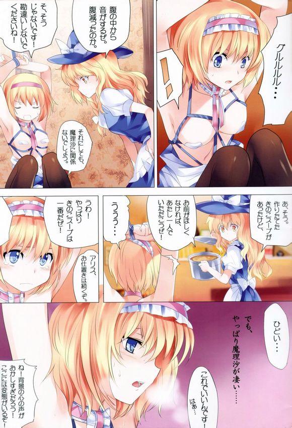东方紧缚录1-3 - 东方同人图 [日本动漫,爱丽丝,百合女同]