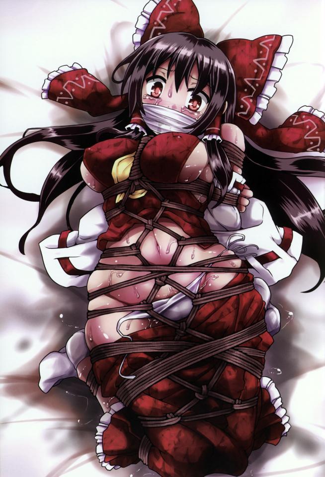 4chan合集1 [龟甲缚,堵嘴,日本动漫,职业（巫女）]