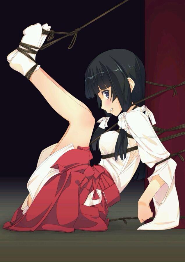 杂图 [胸缚,日本动漫,村上水军,木桩,职业（巫女）]