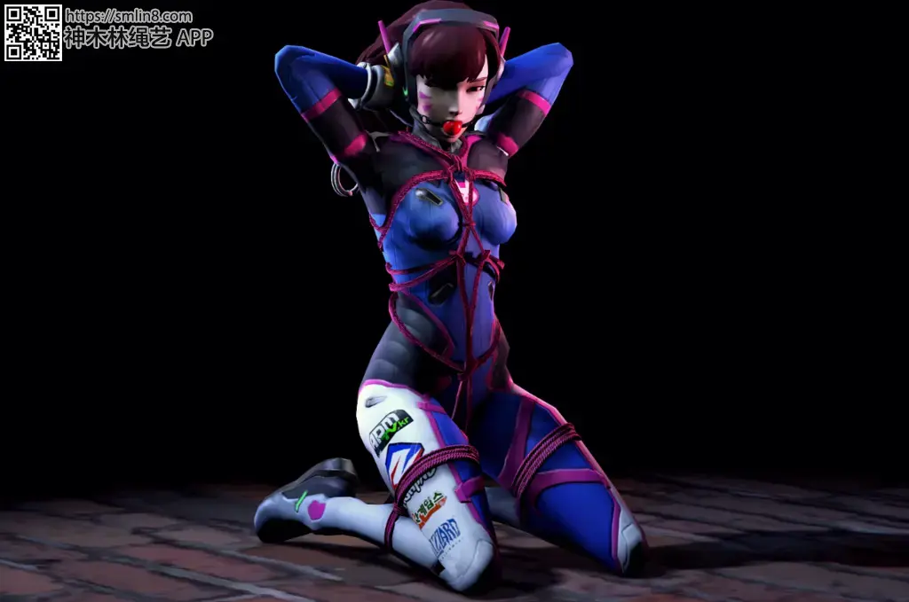 dva [龟甲缚,堵嘴,胸缚,日本动漫,泳装（连体）]