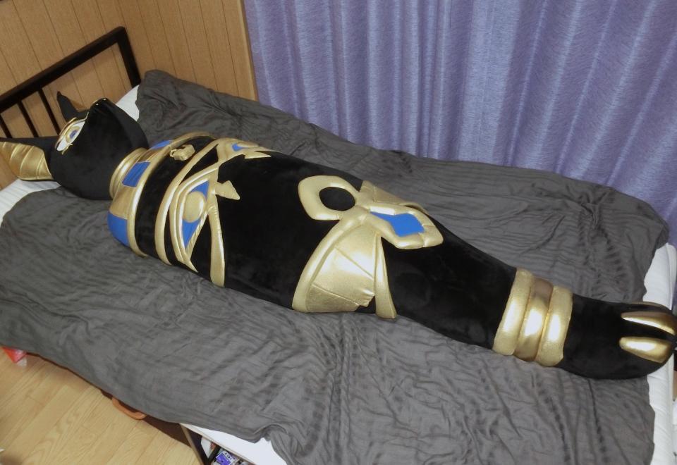  [Mummification,Furry]