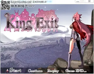 kingexit 汉化版的，个人觉得不错<br><br>PS：序章是必死的