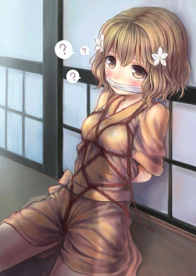 5 [龟甲缚,堵嘴,日本动漫,股绳]