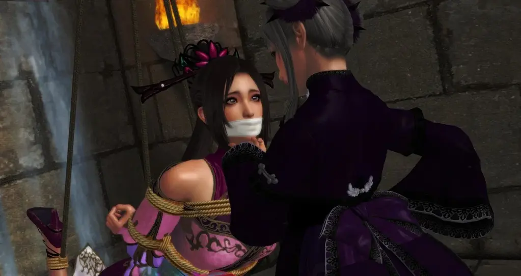 三国无双 [吊缚,堵嘴,高跟鞋,单脚吊缚,3D画,百合女同]