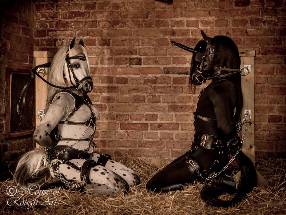 cosplay - House pony [欧美佳丽,木桩,锁链,尾巴,泳装（连体）]