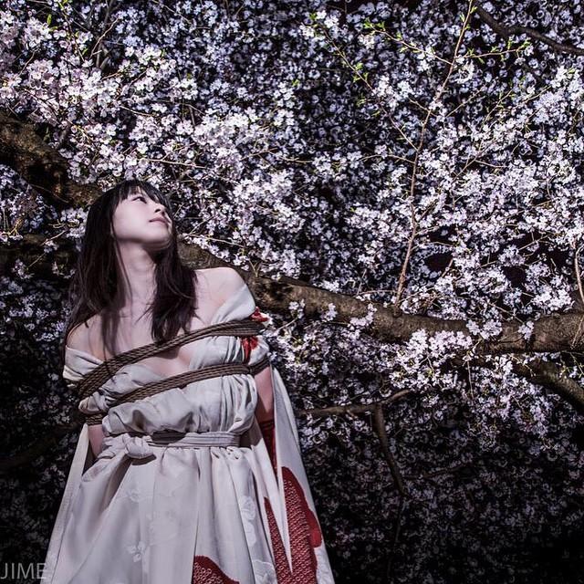 绳师 一鬼のこ - 转自贴吧 [日式反绑,日本美女,胸缚]