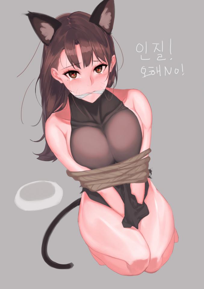  [Necomimi,Gag,Japanese Anime,Tail]