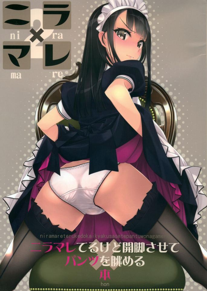 杂图大合集 [职业（女仆）,村上水军]