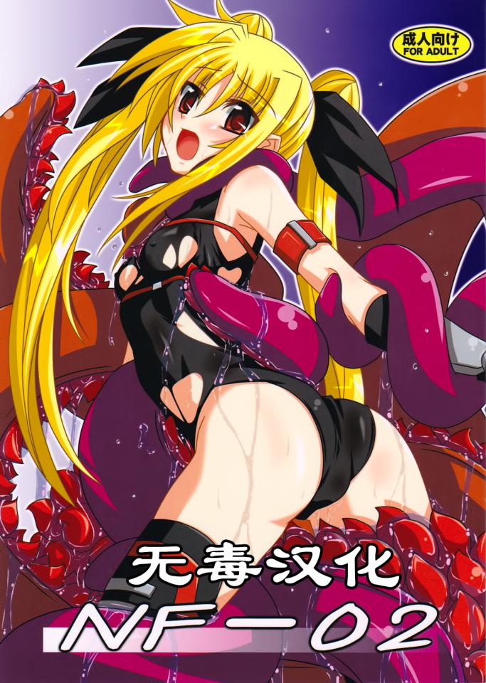(C76) [夜の勉強会 (ふみひろ)] NF-02 (魔法少女リリカルなのは) [无毒汉化] - 作者 ふみひろ   [情趣（皮革/女王）,日本动漫]