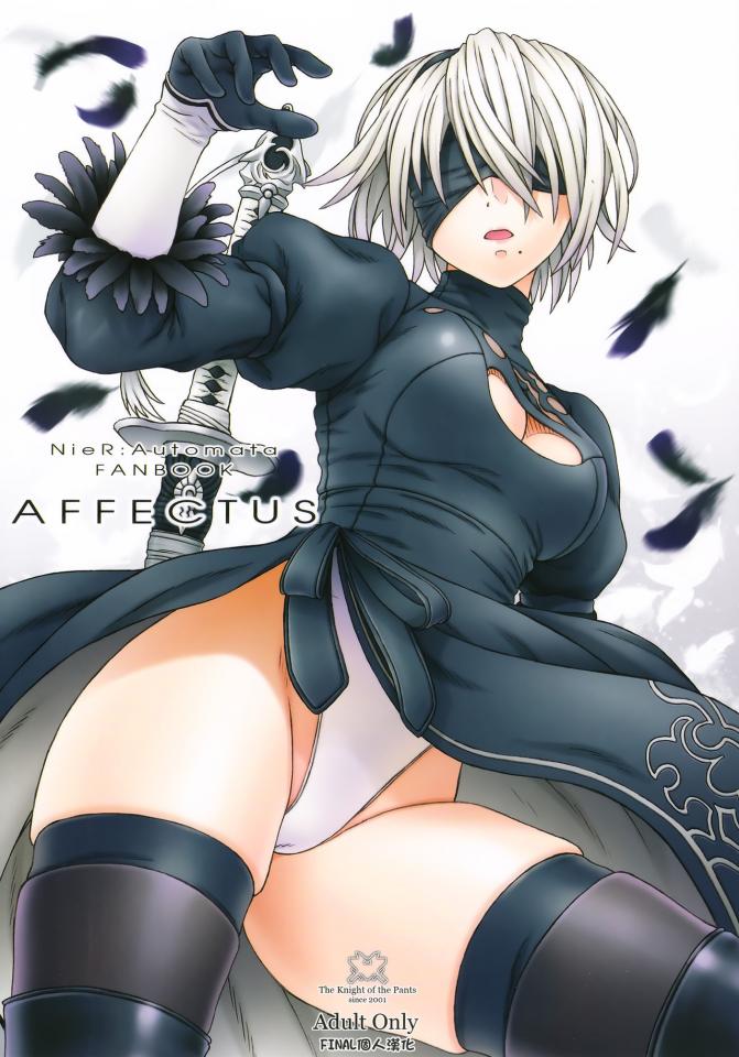 [パンツ騎士団 (辻武司)] AFFECTUS (ニーア オートマタ) [中国翻訳]