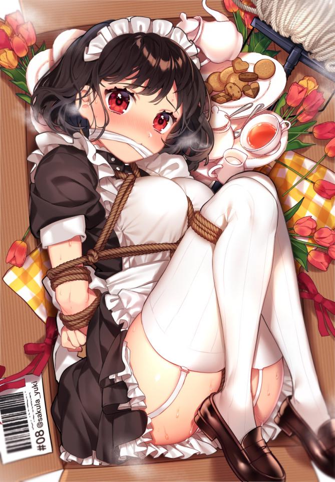  [Boxtie,Gag,Japanese Anime,White Pantyhose]