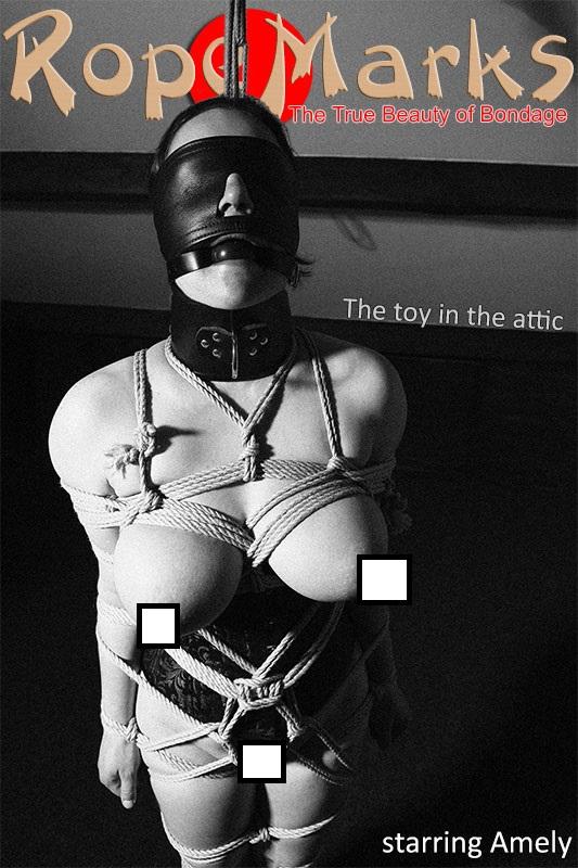 [Rope Marks]The toy in the attic - [Rope Marks] The toy in the attic [堵嘴,欧美佳丽,胸缚,西式（直臂并肘）,眼罩/蒙眼]