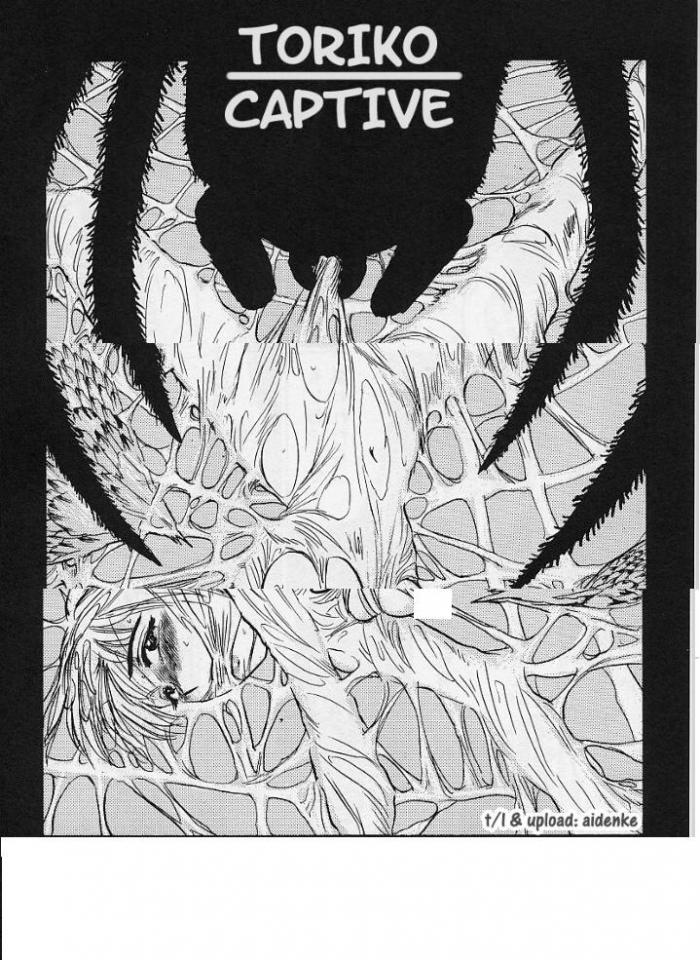 TORIKO CAPTIVE - 作者：：桃山ジロウ   内容：讲述少女迷路被蜘蛛女监禁捆绑最后沦为奴隶的剧情 [蛛网蛛丝]