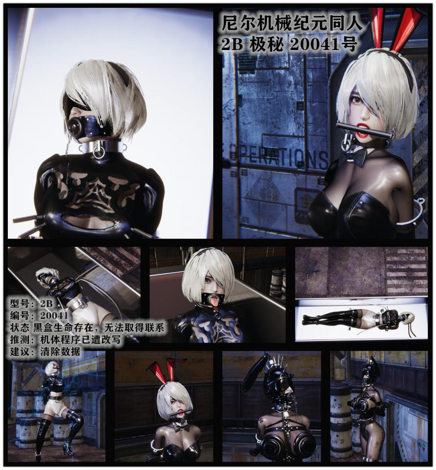 超精美建模 尼尔机械纪元同人 2B 极秘 20041号 箱子中的2B 小姐姐最终被改造成为侍奉机器人。。 - 型号：2B 编号：20041 状态 黑盒生命存在，无法取得联系 推测：机体程序已遭改写 建议：清除数据