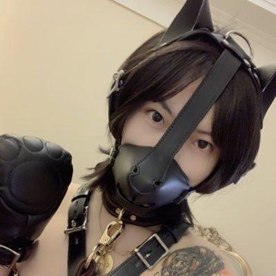 捆绑口球乳胶伪娘杂图 - 杂图个人收藏 [伪娘]