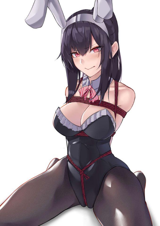 美女 [丝袜,动物（兔耳）,日本动漫,情趣（兔女郎）]