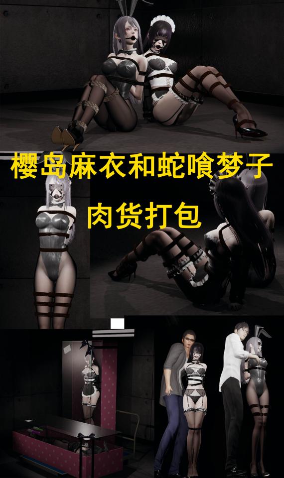 樱岛麻衣和蛇喰梦子  肉货打包 - 蛇喰梦子 情趣黑丝女仆换装 [3D画]