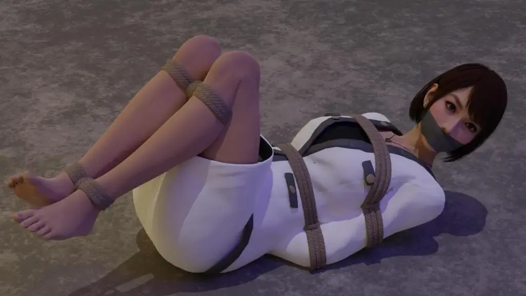  [Gag,Japanese Anime,3D CG]