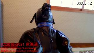 家畜道 2021 8月   人狗 转自家畜道，自费。无点，无露出，无色情，请放心观看。