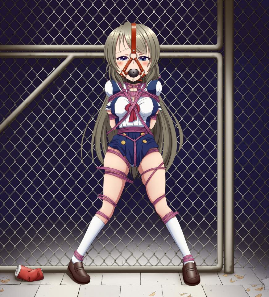 【Ran from pixiv fanbox】特別のイラスト64枚へのアクセス  - https://ranh.fanbox.cc/ [日式反绑,堵嘴,日本动漫,狗链/项圈,股绳,跳蛋,口球]