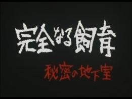 完全的侍育~秘密地下室 因为钱被男友暴打抛弃的痴情女，路上遇到一个素质男，把昏迷的她抱回家后尽心照顾，没想女人醒来后想跑，结果~~~~~~~