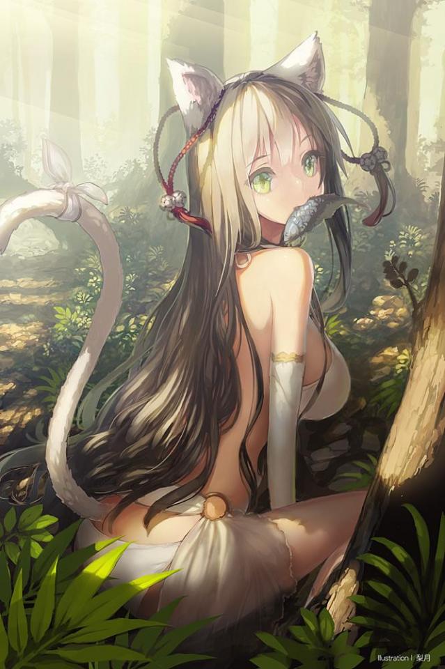 分享图片 [猫耳]