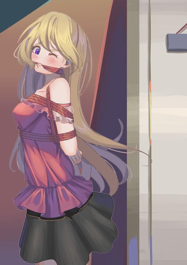二次元18 [日式反绑,堵嘴,胸缚,日本动漫]