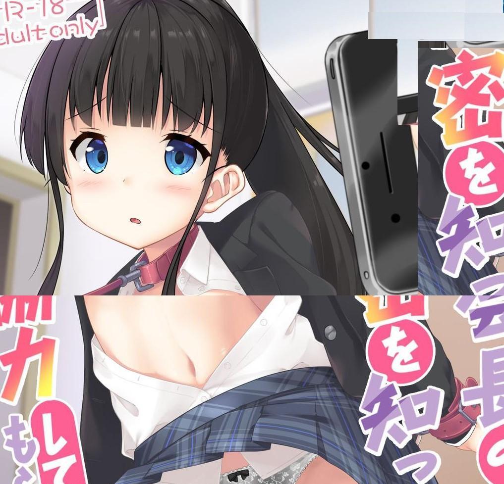 生徒会長の秘密を知ったので協力してもらった - 作者：Second Point    之前因为某种不可抗因素下架了，现已修改完成重新上架~(前三张浏览）