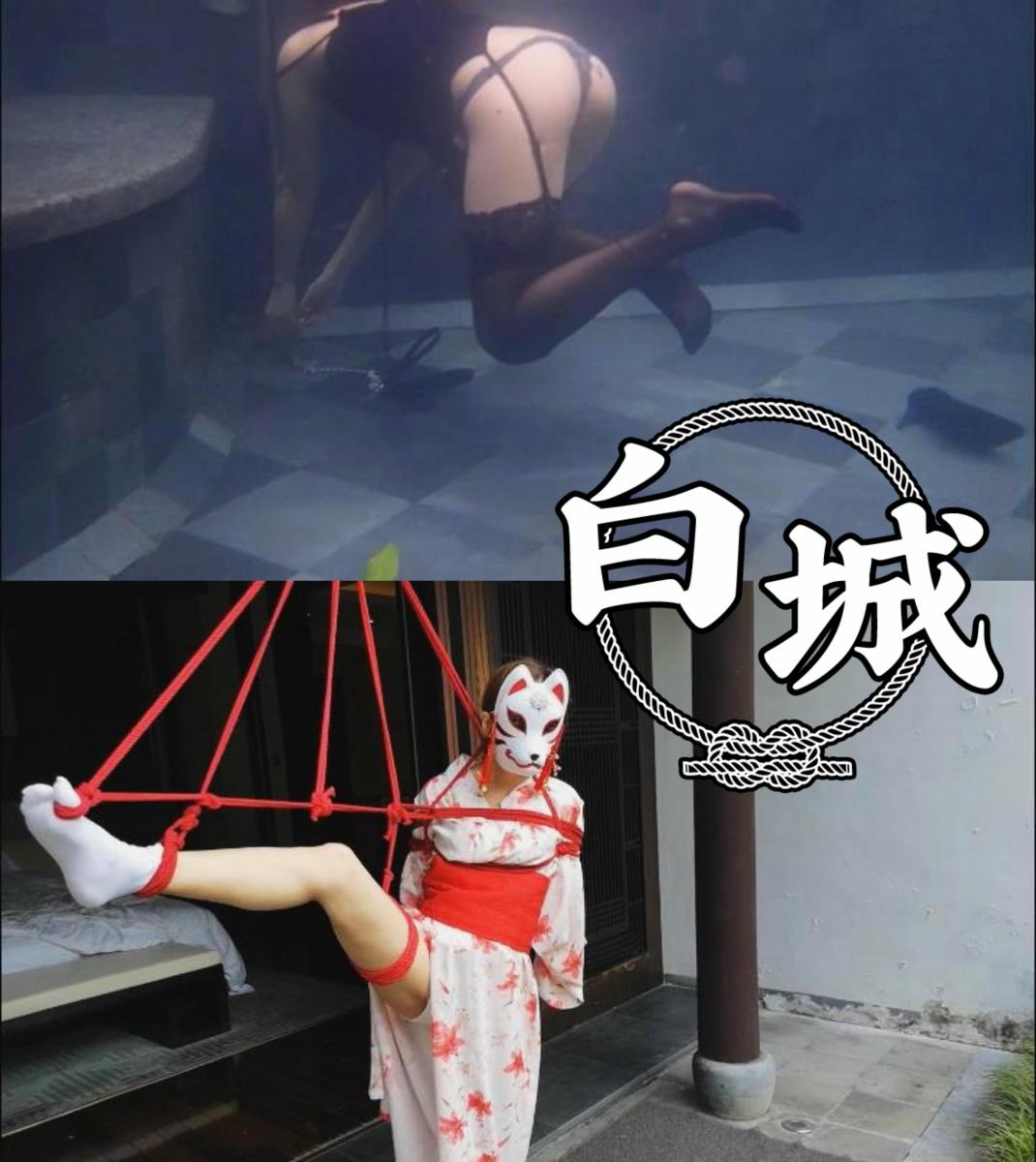 【白城出品】第二部《徽式大宅》（下集） 大家好我是白城，响应各位号召，把之前两部也陆续补发上来，这样正版的六部曲在妖狐上就齐了。<br>第七部《孤注一掷》正在筹备阶段，和电影一样，也是讲述电诈有关的故事，计划十一前上线，敬请期待。