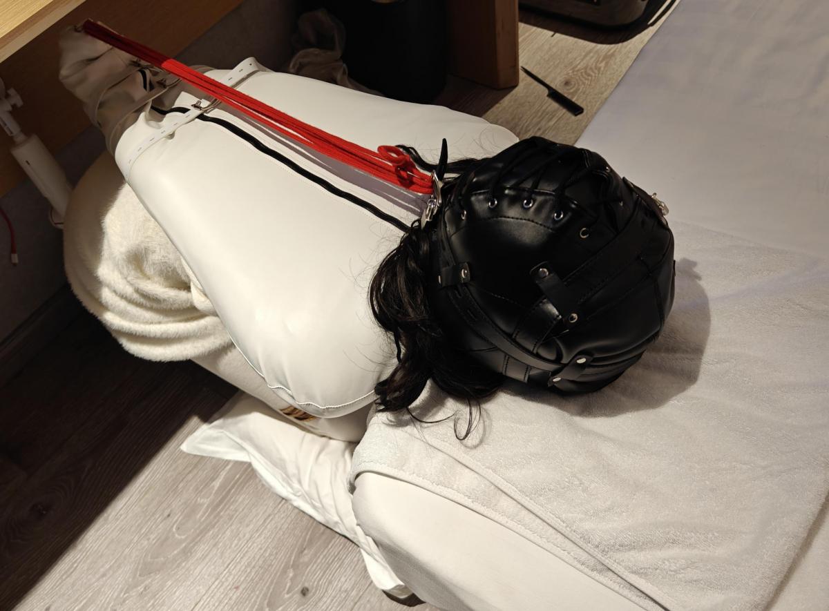 好骚的母狗 [Gag,Blindfolded,LGBTQ,Houchi Play,固定]