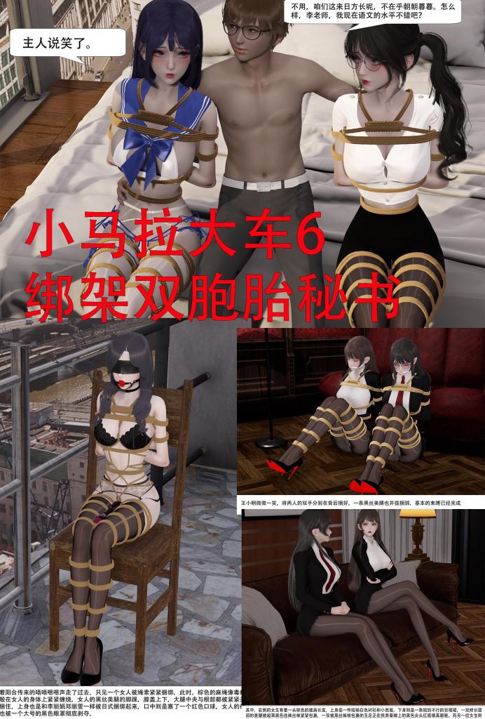 小马拉大车6 绑架双胞胎秘书