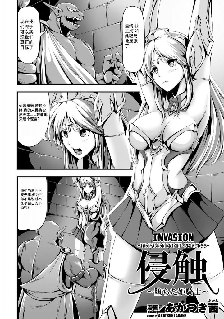 【中文翻译】侵触～堕ちた姫騎士～【単話】 - 作者 	あかつき茜
出版社名 	キルタイムコミュニケーション 

身披国宝级铠甲,凭借高超魔力, 本是率精灵族抗击兽人入侵的公主骑士却因寡不敌众而败退。为守护子民而献身的公主骑士,从体液中吸收魔力的魔法生物突然袭击！被侵蚀的魔法铠甲顽固地吮吸乳o，使母乳不断溢出，从被温柔解开的私密处多次潮o的精灵公主。甚至还要被触手铠甲植入卵体而[X_X]……。
