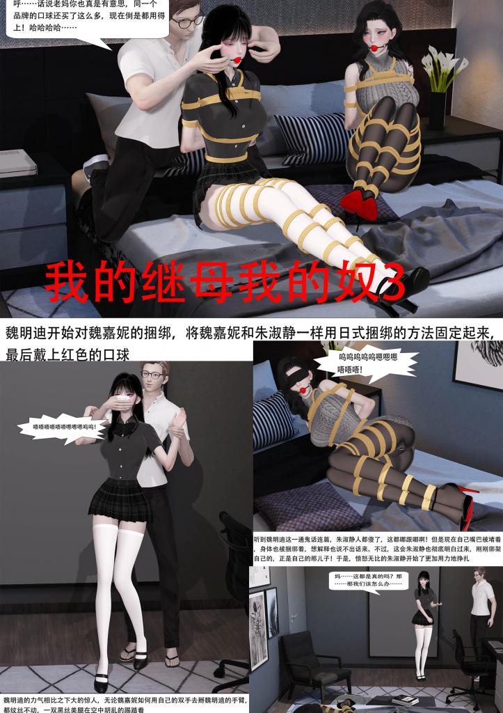 我的继母我的奴3