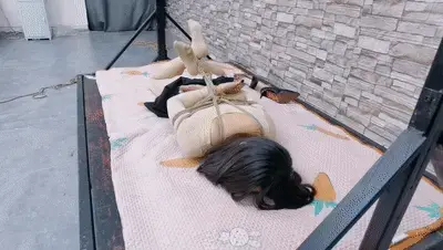 定拍剪辑版,被TK爽死的肉丝高跟希希...... 线上定拍线下可约拍,只定拍绿色视频,可接受赞助定拍500起和收藏终身版权定拍,模特30位左右,将陆续发到此帐号上,业务咨讯qq3094769038非诚勿扰......